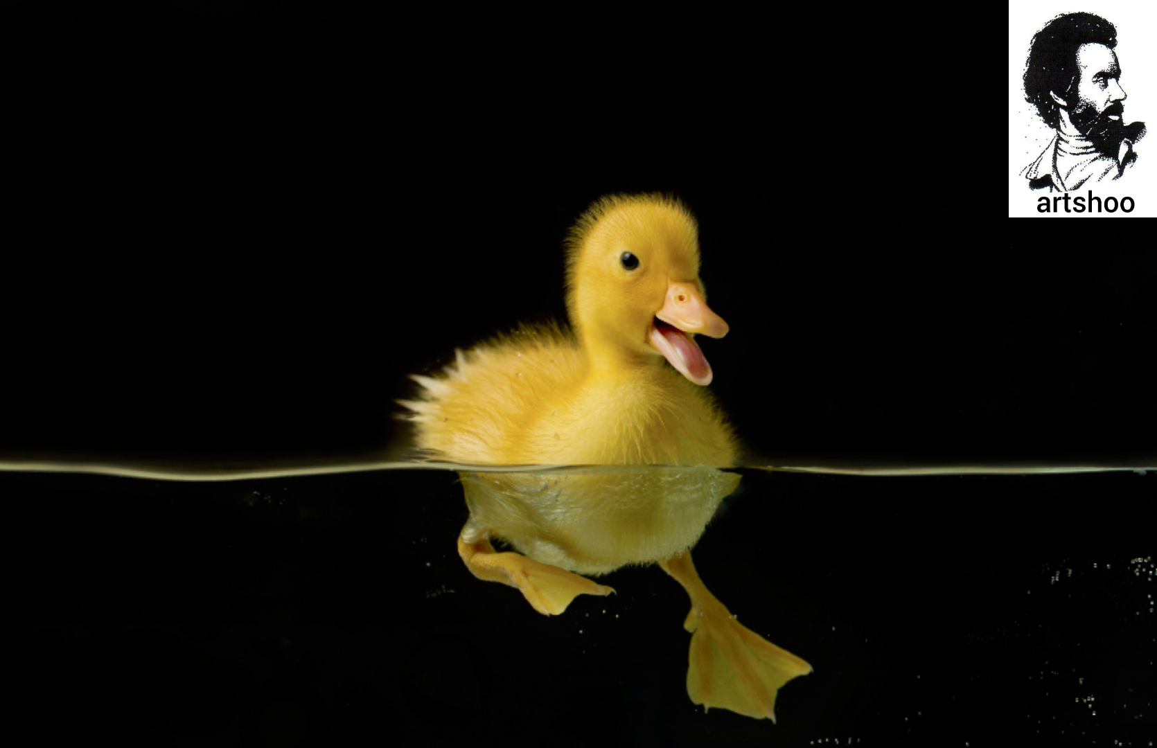 مدل رنگ روغن آب اورژینال